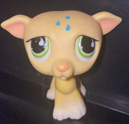 Littlest Pet Shop~#875~Greyhound~Dog Puppy~Yellow~Blue Teardrops~Green Eyes