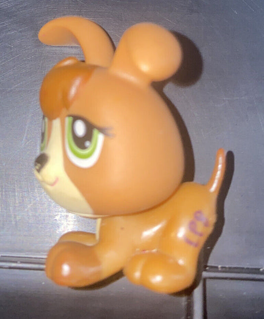 Littlest Pet Shop LPS  #1338 Brown Puppy Dog Green Eyes AUTHENTIC