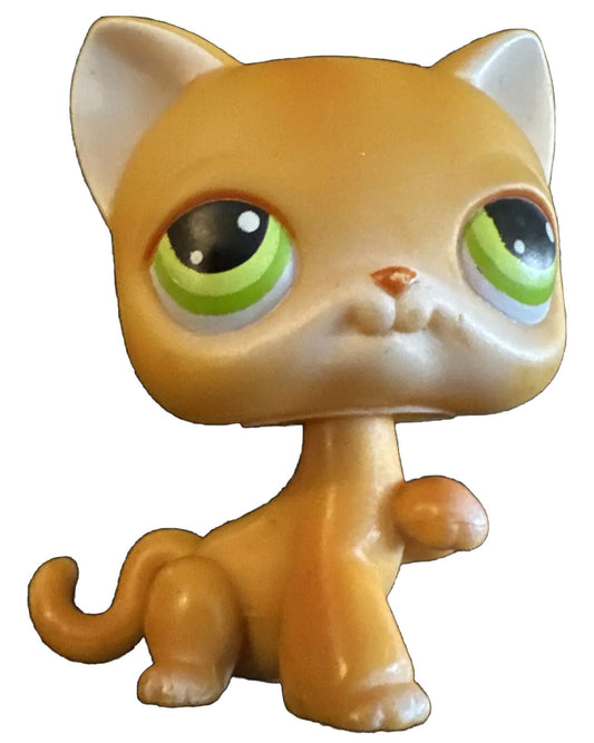 Hasbro Littlest Pet Shop LPS #11 Orange Shorthair Cat Paw Up 2004