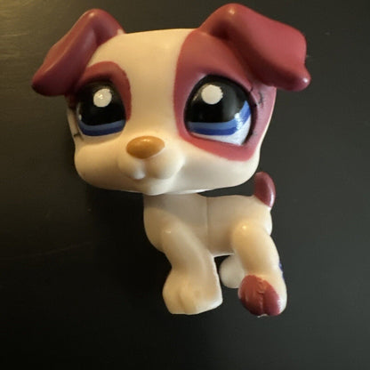 LPS Littlest Pet Shop Authentic # 1200 Jack Russel Terrier Dog