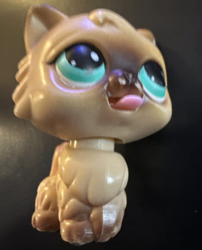 PERSIAN CAT #MM3 - Authentic Littlest Pet Shop - Hasbro LPS Magic Motion #3 OG.